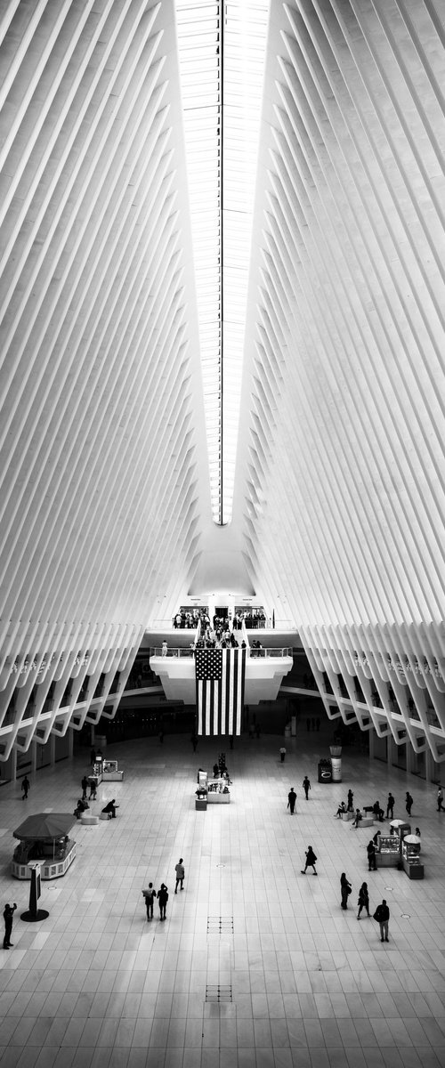 THE OCULUS by Harv Greenberg