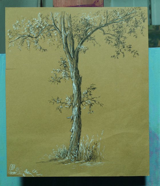Tree on Green Paper
