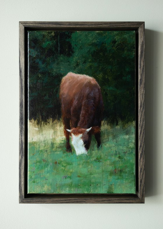 Evening Silence In The Forest