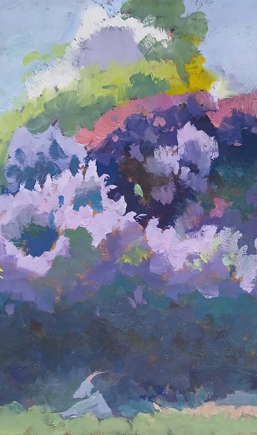 In the Shade by Vasyl Koval