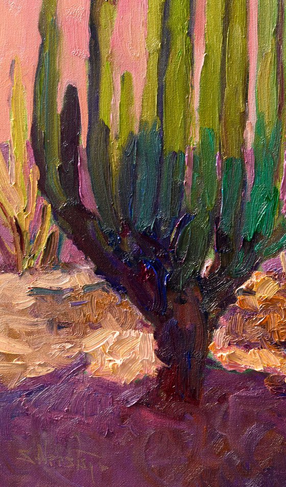 After the Heat. Dasert Evening