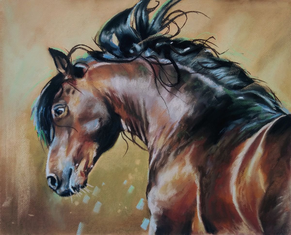Mustang by Magdalena Palega