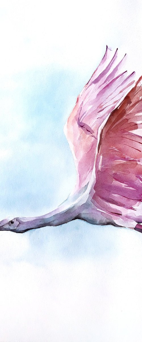 Roseate spoonbill by Kateryna Somyk