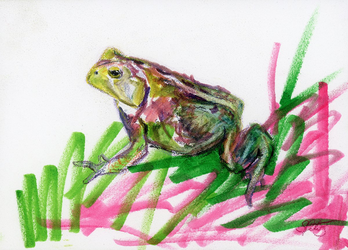 Portrait of a Toad by Stephanie Peters