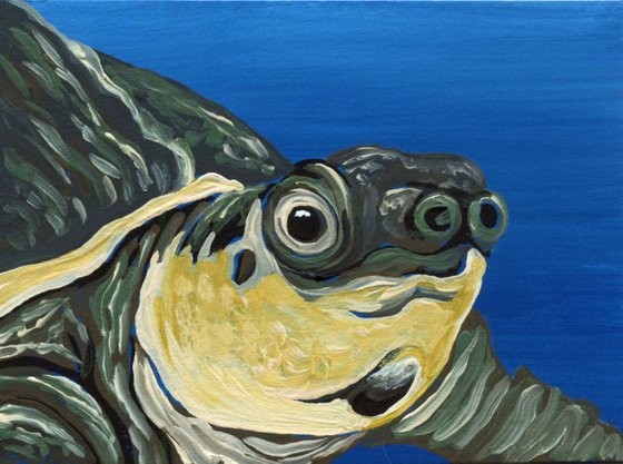ACEO ATC Original Painting Pig Nose Fly River Turtle Wildlife Art-Carla Smale