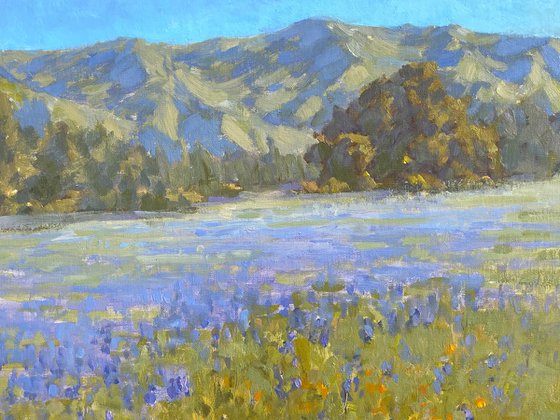 Lupine Field Mosaic Landscape