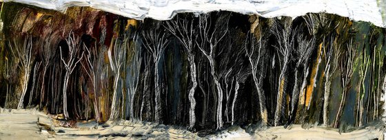 Mountain Ash Tree, Winter
