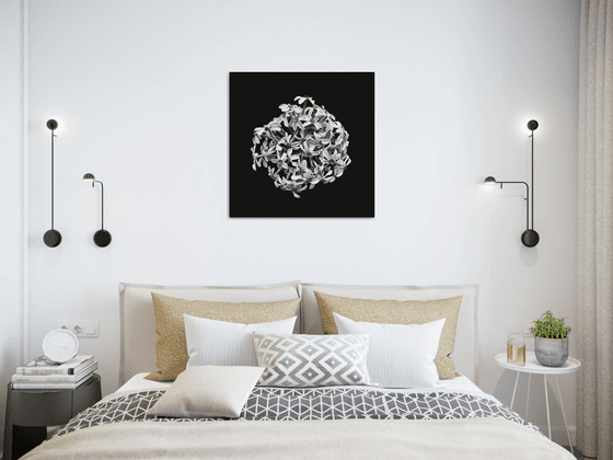 Narcissus from above