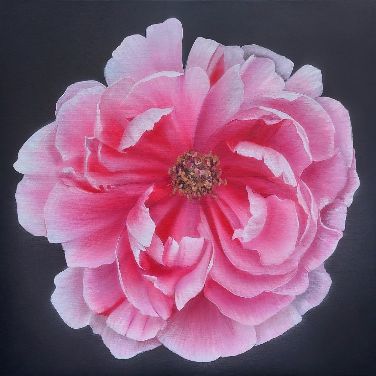 Peonies painting,  flower art, pink Peonies painting,  flowers realism art by Svitlana Brazhnikova