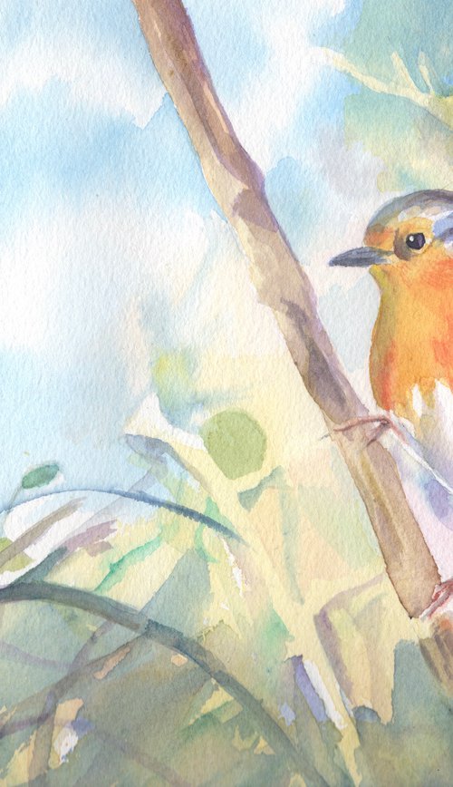 Garden Robin by Sarah Stowe