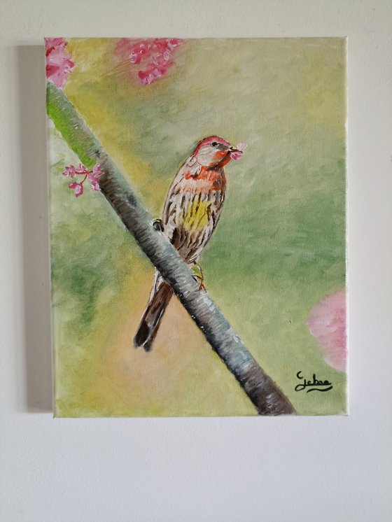 Exotic bird on a flowering tree