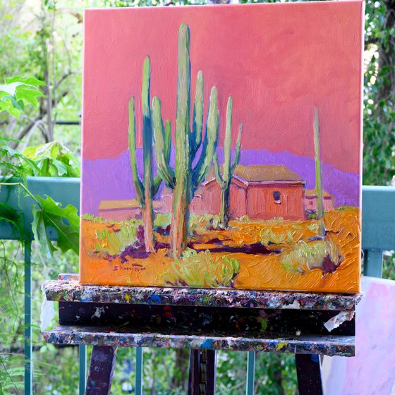 Pink Evening, Saguaro
