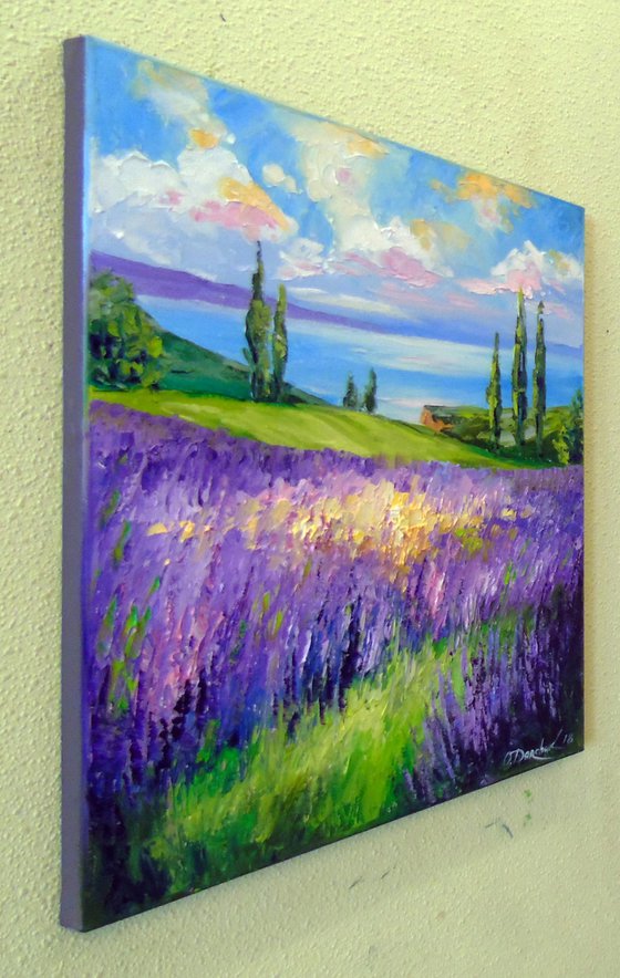 Lavender field