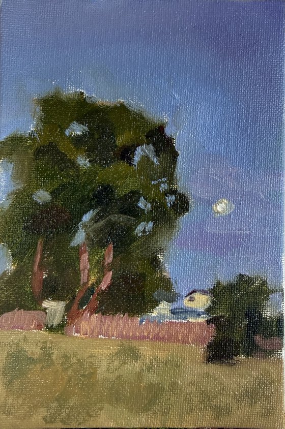 Tree in the dusk