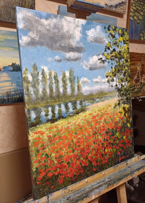 Poppy field by the river