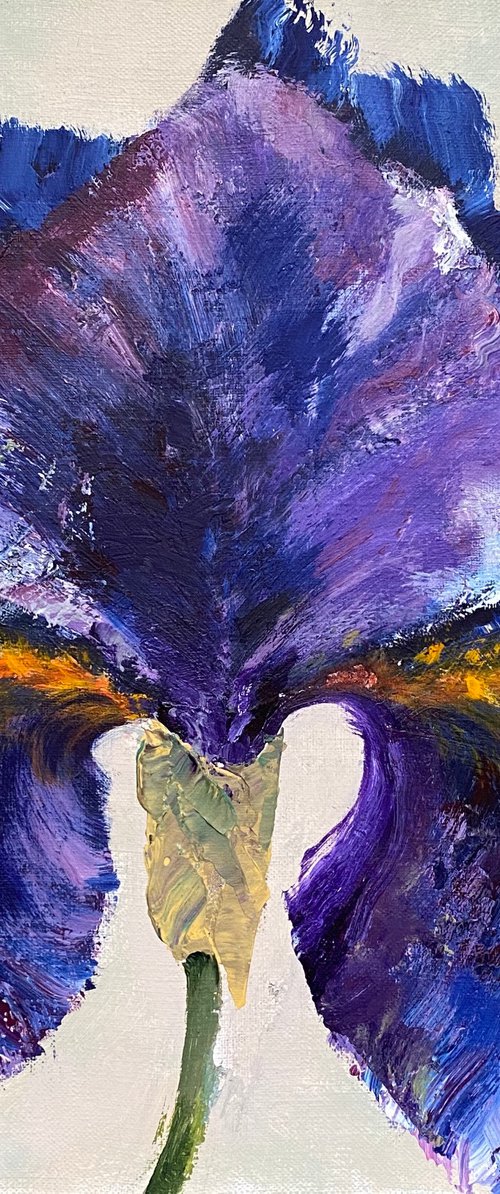 DARK BLUE IRIS by Oksana Petrova