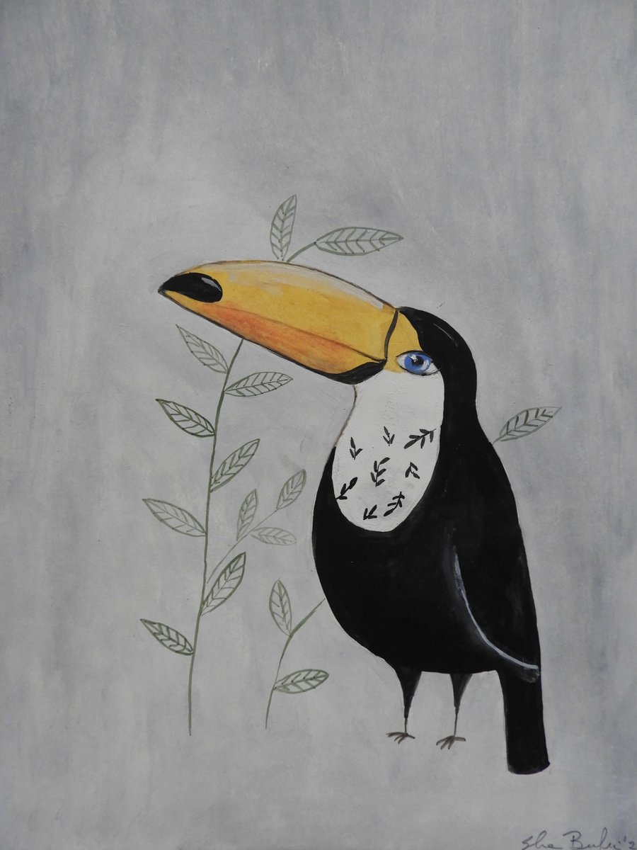 The toucan by Silvia Beneforti