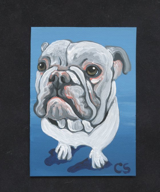 ACEO ATC Original Painting Olde English Bulldogge Pet Dog Art-Carla Smale