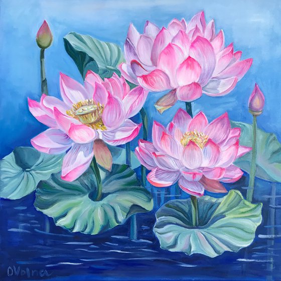 Dance of Pink Water Lilies