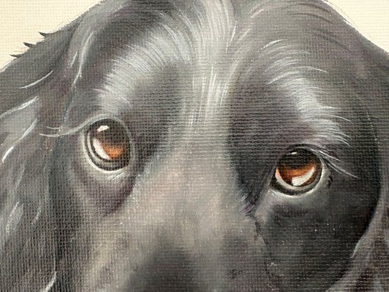 Soulful Eyes