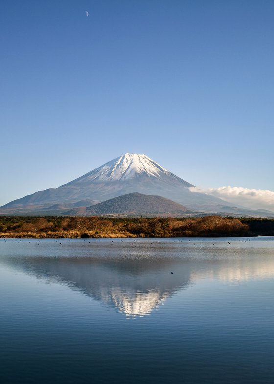 FUJI UNDER THE MOON XL