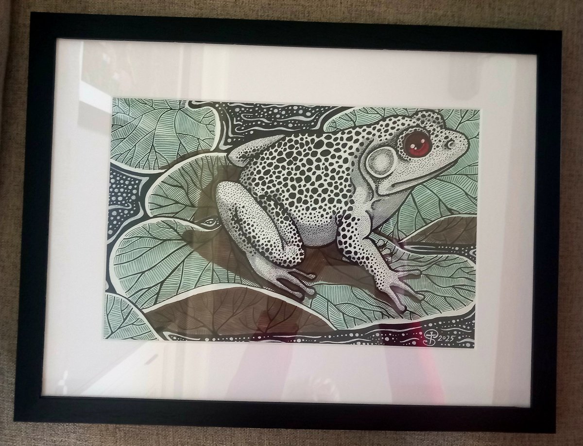 Graphic Animal Ink Drawing By Terri Smith, 16 X 12", Ribbit, Original Artwork