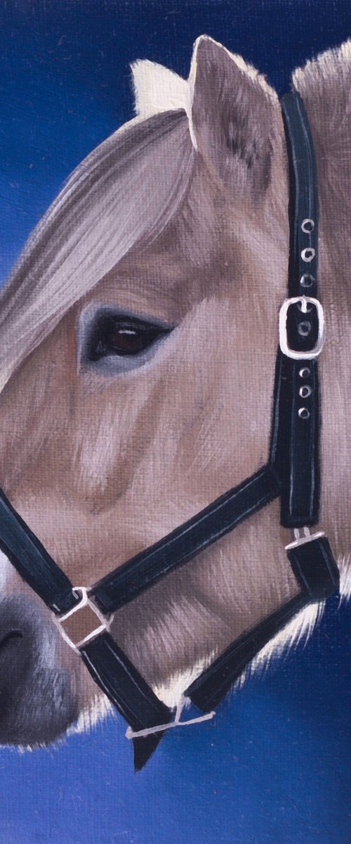 Horse portrait 93 by Anastasia Parfilo