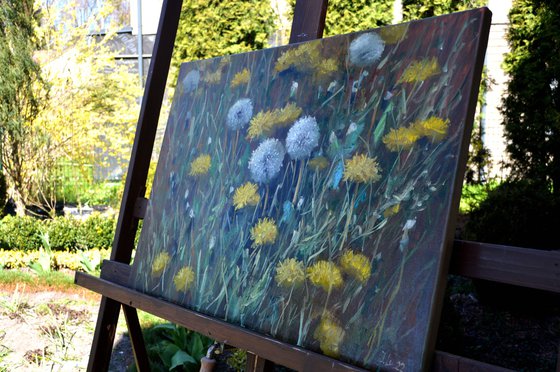 Fragment of a lawn of dandelions