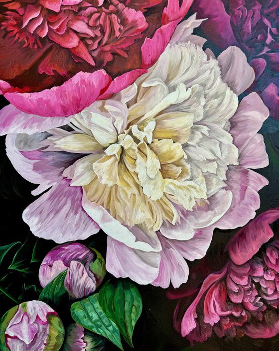 The Radiance of Peonies