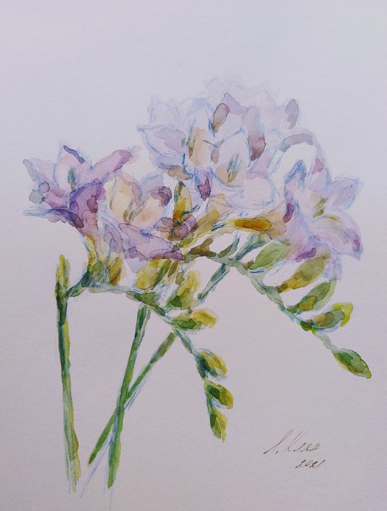 Freesias #2 original watercolour painting.