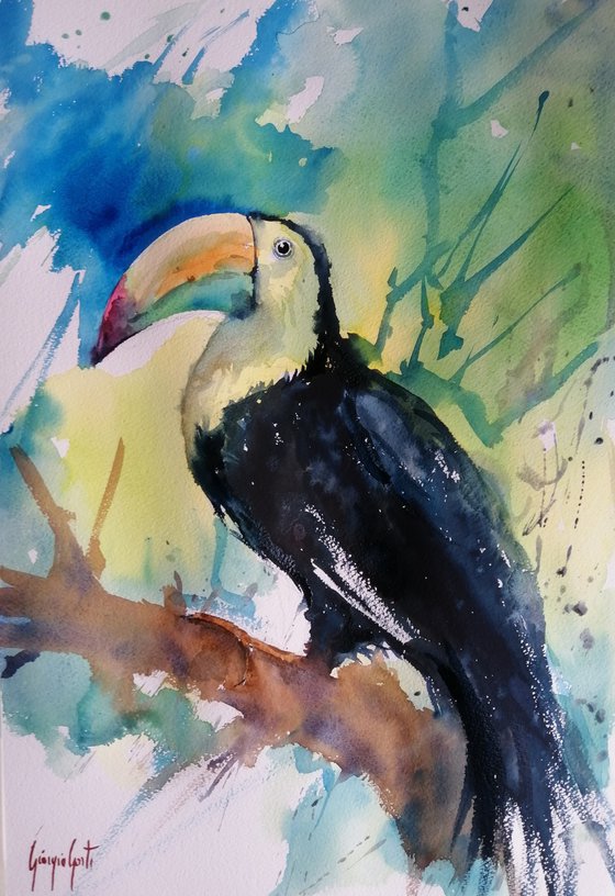 toucan 4