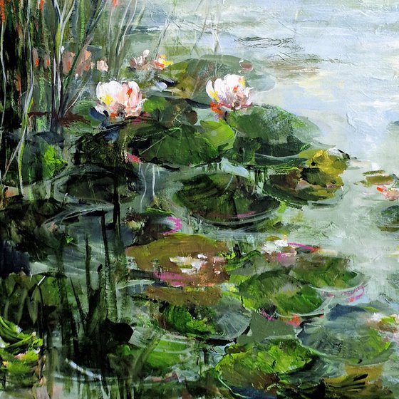 Water Lilies On The Shore
