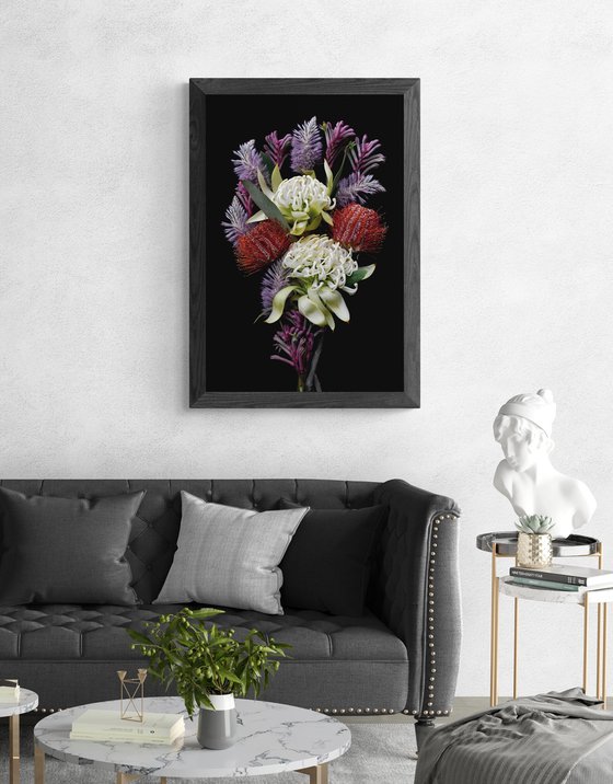 Waratah, Banksia, Mulla Mulla, Kangaroo Paw
