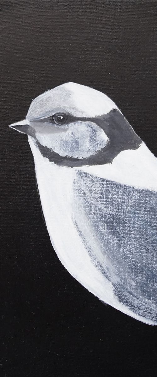 Bird portrait by Nadia Moniatis