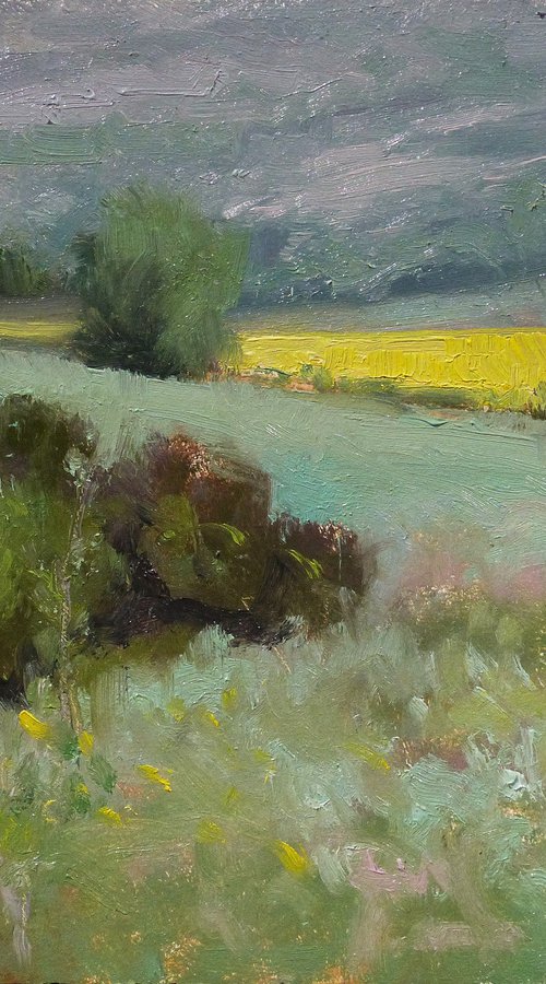Colza Field by Pascal Giroud