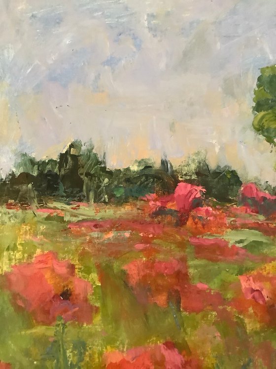 Poppies