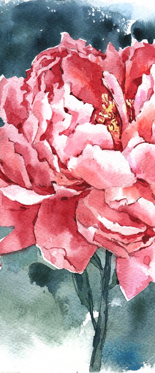 Modern watercolor "Bright red coral peony"  original watercolor illustration by Ksenia Selianko