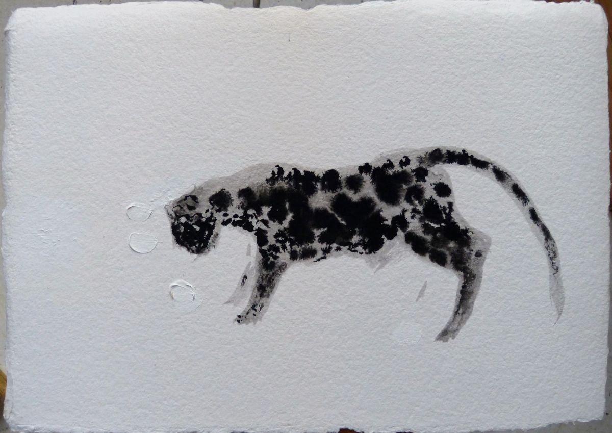 The spotty cat, ink drawing oh heavy art paper 30x44 cm by Frederic Belaubre