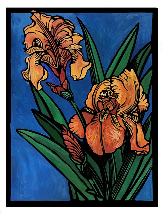 Copper Iris