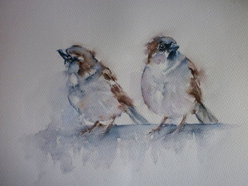 sparrows by Sue  Green