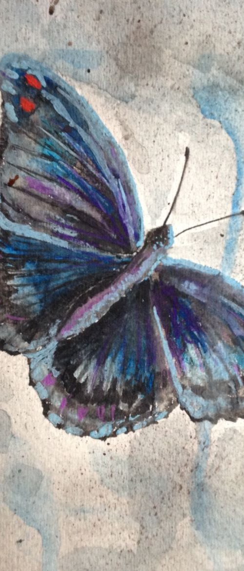 Delicate Beauty (framed watercolor) by Donna Daniels