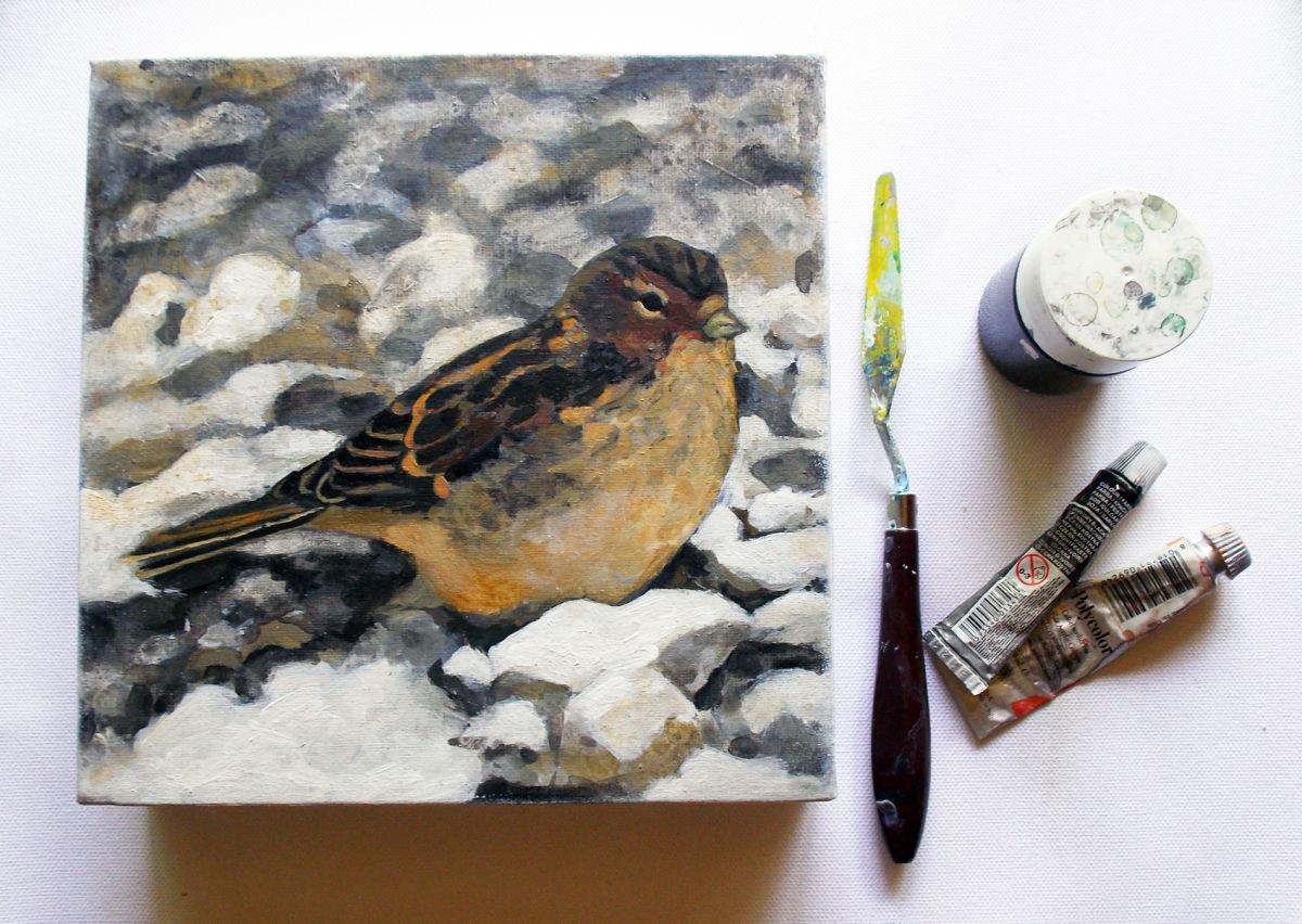 Camouflaged Sparrow - Bird Original Realistic Painting in Acrylic on Square Canvas, Wildli... by Adriana Vasile