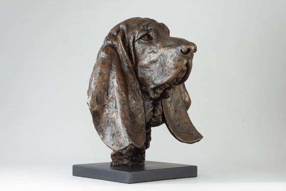 Basset Portrait Bronze resin