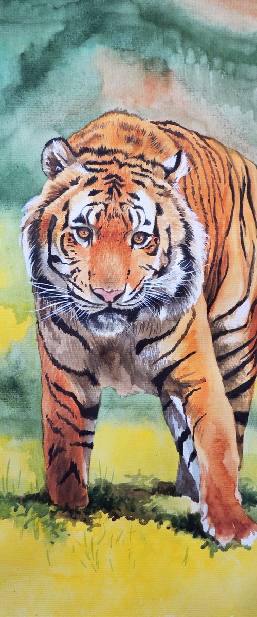 Powerful tiger by Kakajan Charyyev