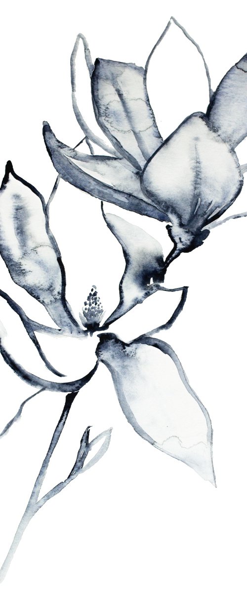 Magnolia No. 32 by Elizabeth Becker