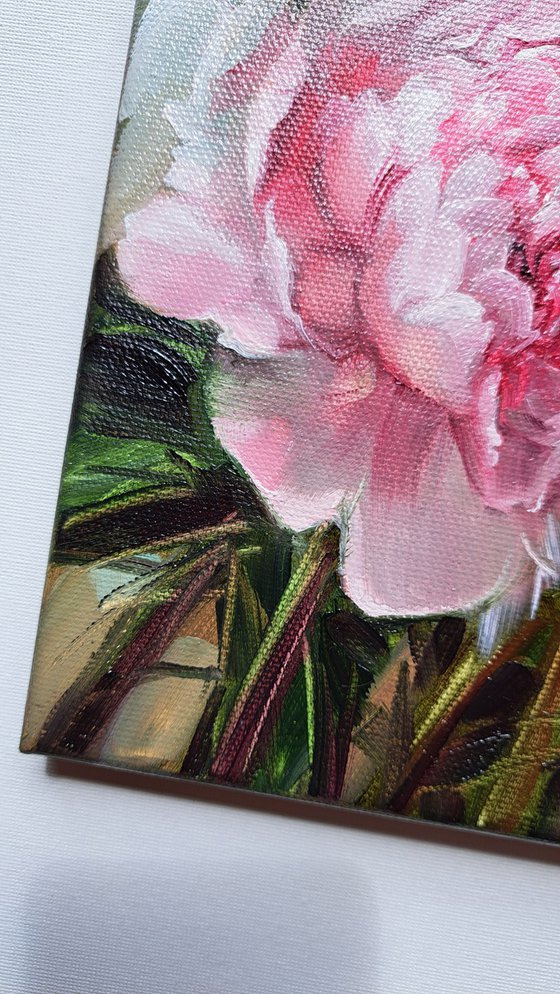 Peony