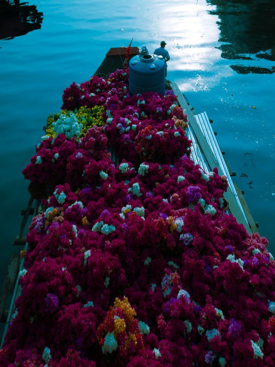 The Flower Boat