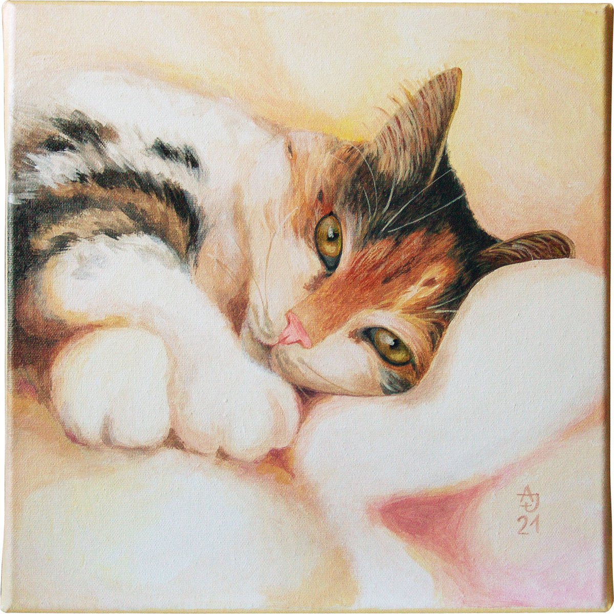 Kitty by Jolanta Czarnecka