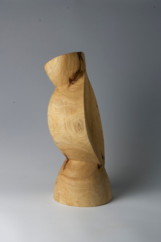 Head Shape Cut