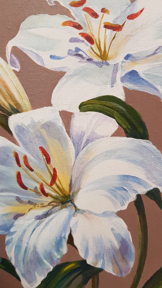 White Lilies